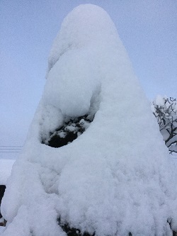 三角形の木に雪.jpg