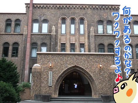 北海道大学総合博物館 1-4.JPG