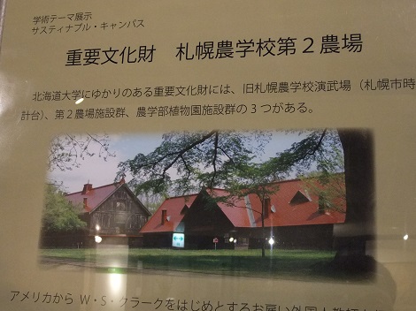 北海道大学総合博物館 13-5.JPG