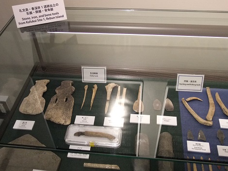 北海道大学総合博物館 15-4.JPG