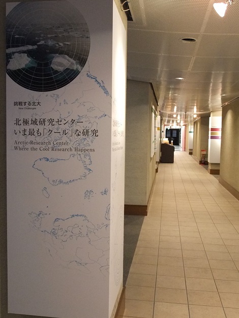 北海道大学総合博物館 3-1.JPG